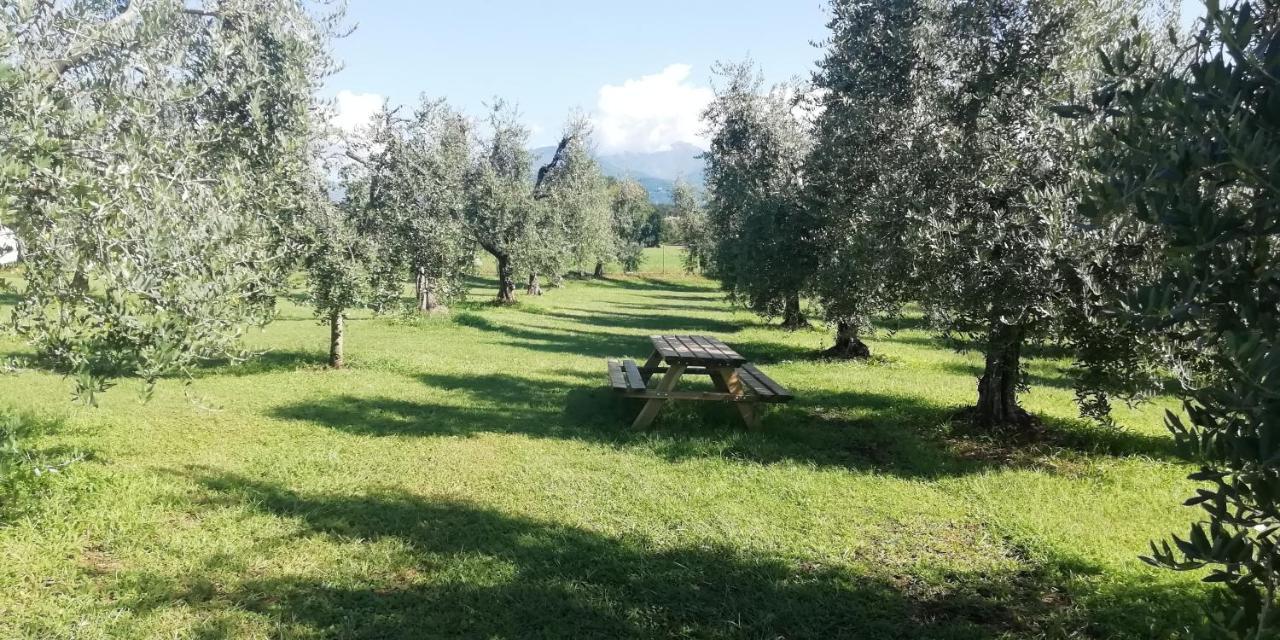 Agriturismo Fioralba Полпенаце дел Гарда Екстериор снимка