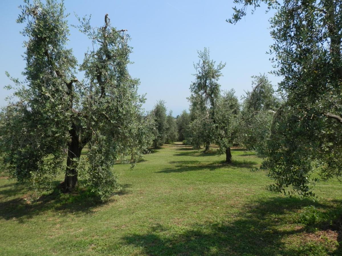 Agriturismo Fioralba Полпенаце дел Гарда Екстериор снимка