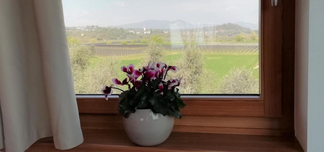 Agriturismo Fioralba Полпенаце дел Гарда Екстериор снимка
