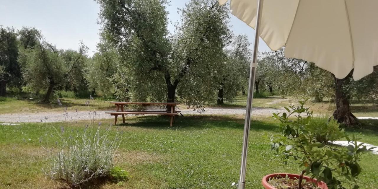Agriturismo Fioralba Полпенаце дел Гарда Екстериор снимка