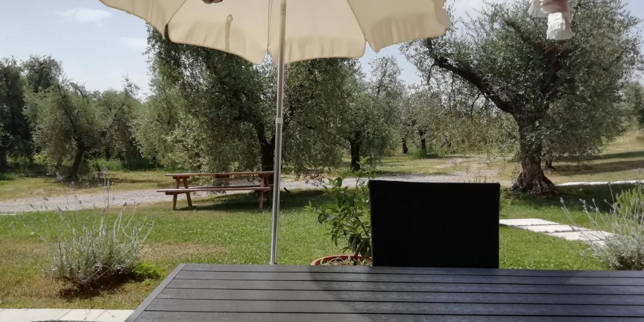 Agriturismo Fioralba Полпенаце дел Гарда Екстериор снимка