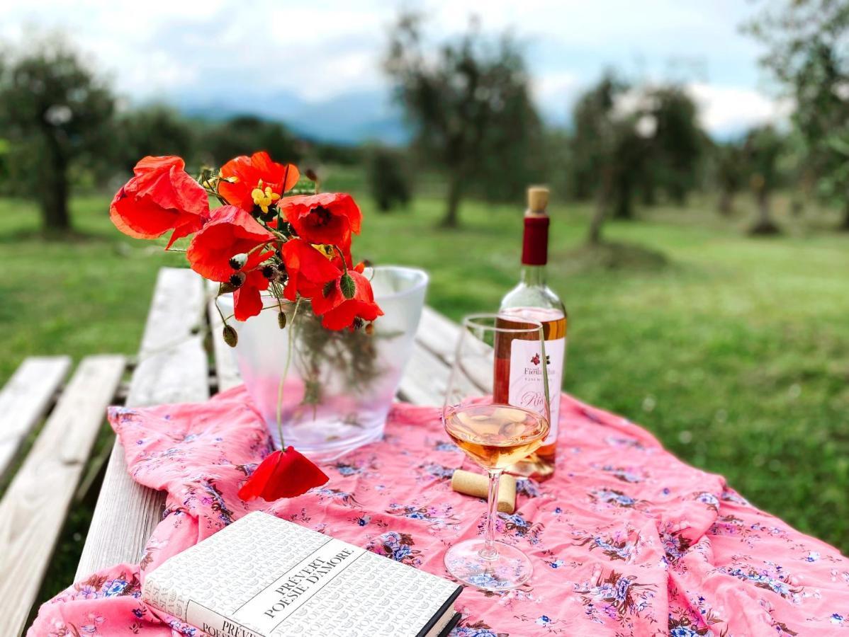 Agriturismo Fioralba Полпенаце дел Гарда Екстериор снимка