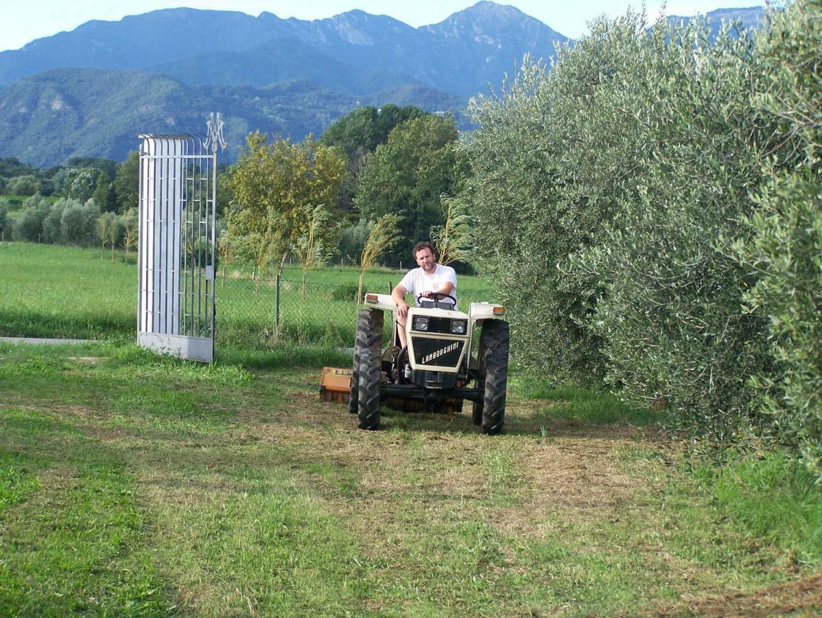Agriturismo Fioralba Полпенаце дел Гарда Екстериор снимка