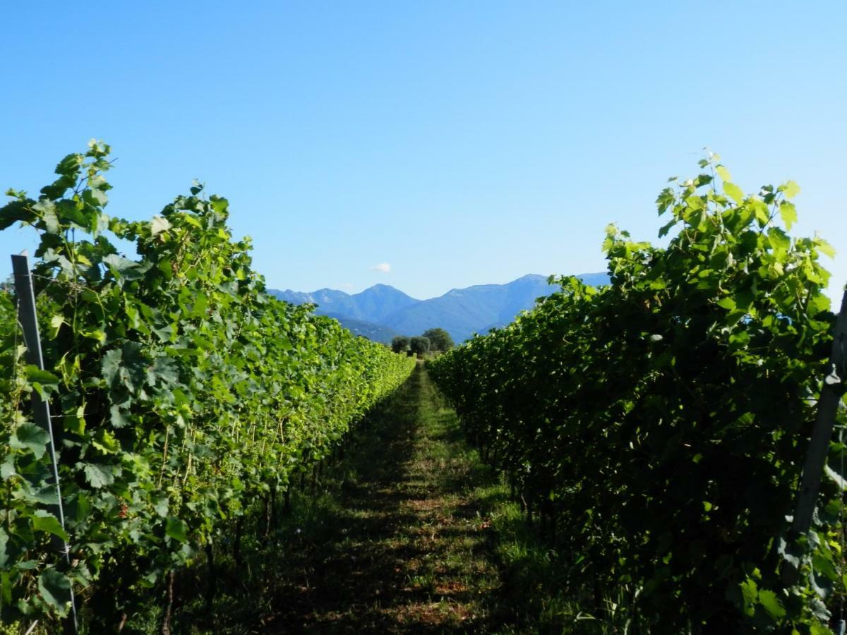 Agriturismo Fioralba Полпенаце дел Гарда Екстериор снимка
