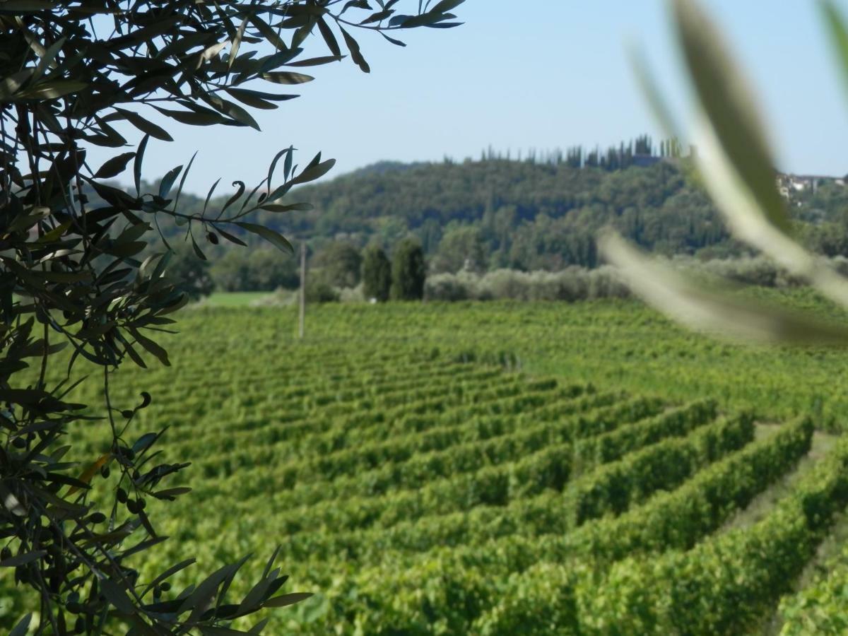 Agriturismo Fioralba Полпенаце дел Гарда Екстериор снимка