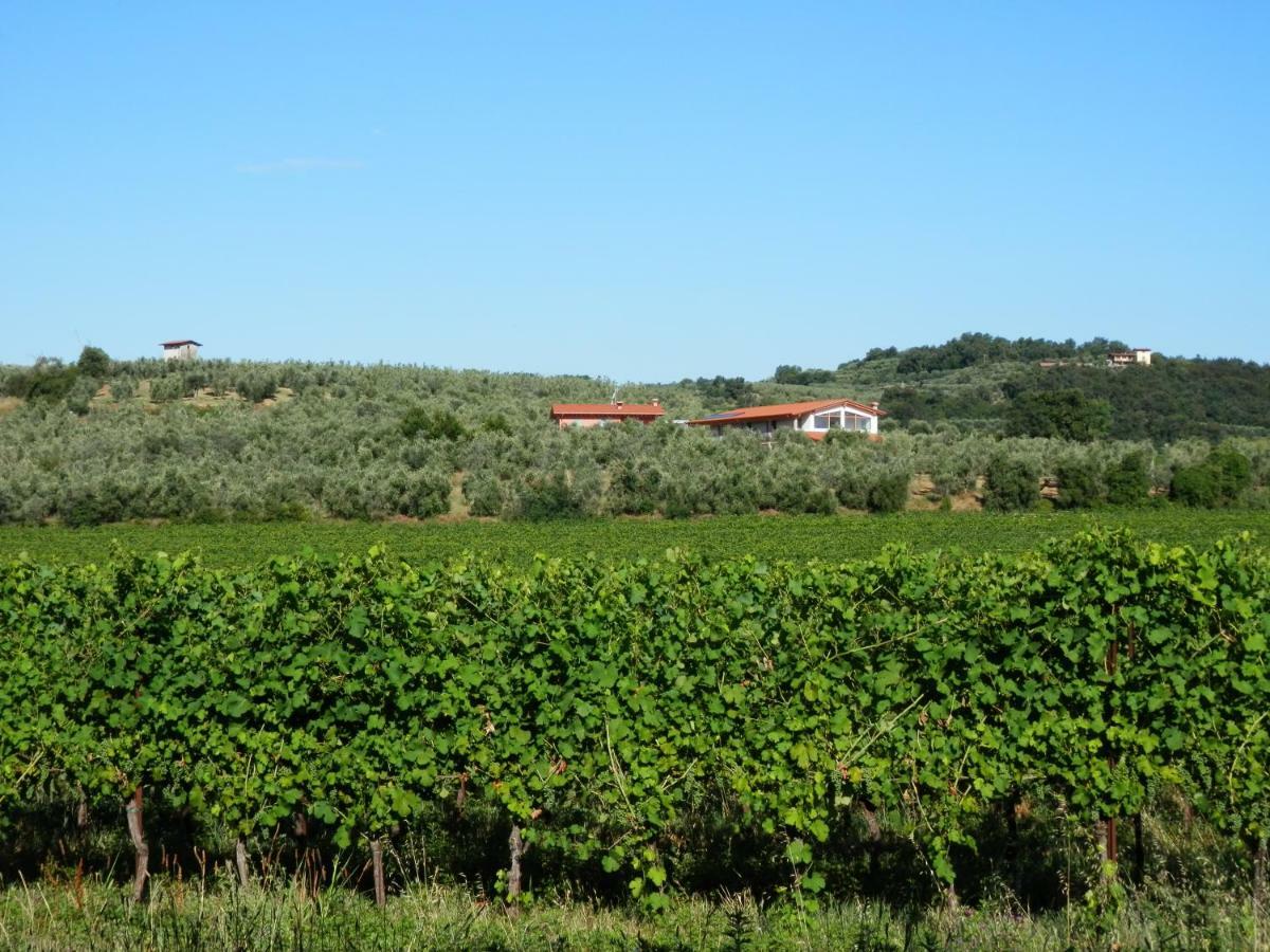 Agriturismo Fioralba Полпенаце дел Гарда Екстериор снимка