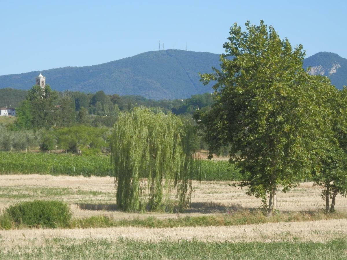 Agriturismo Fioralba Полпенаце дел Гарда Екстериор снимка